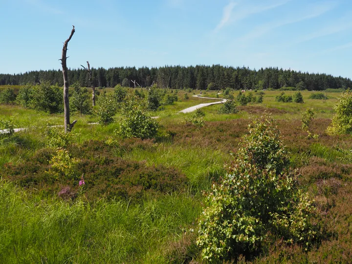 Signal de Botrange (België)